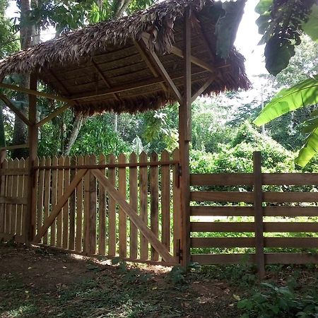 Tambopata River プエルト・マルドナード エクステリア 写真