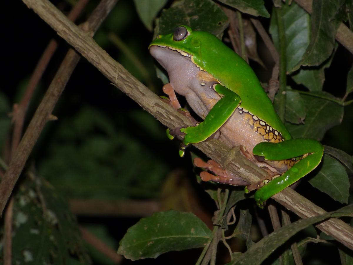 Tambopata River プエルト・マルドナード エクステリア 写真