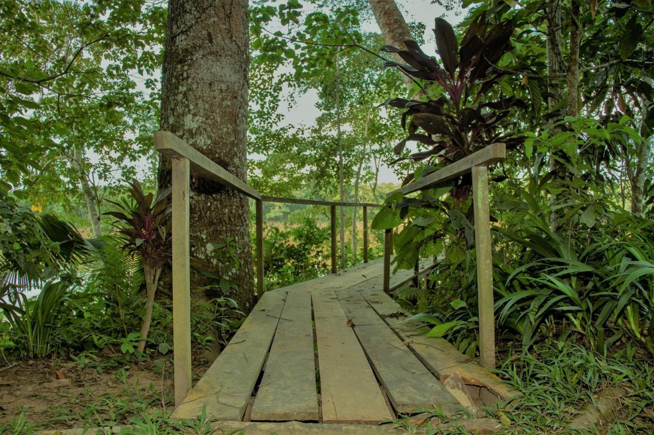 Tambopata River プエルト・マルドナード エクステリア 写真